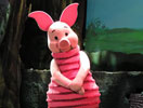 piglet